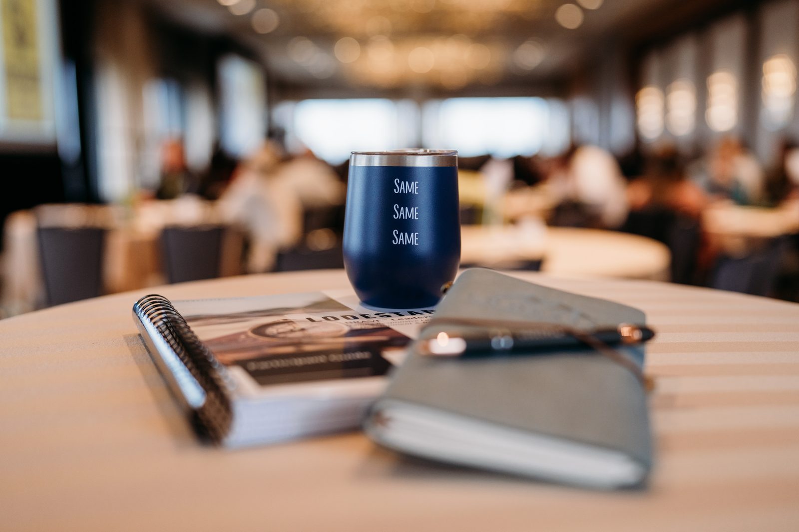 Program curriculum and participant materials